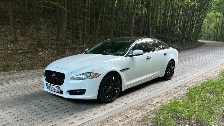 Jaguar XJ cena 99900 przebieg: 79000, rok produkcji 2015 z Barcin małe 596